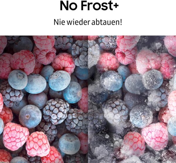 Samsung Ψυγειοκαταψύκτης 344lt Total NoFrost Υ203xΠ59.5xΒ65.8εκ. Γκρι RL34A6B0DCS/EG
