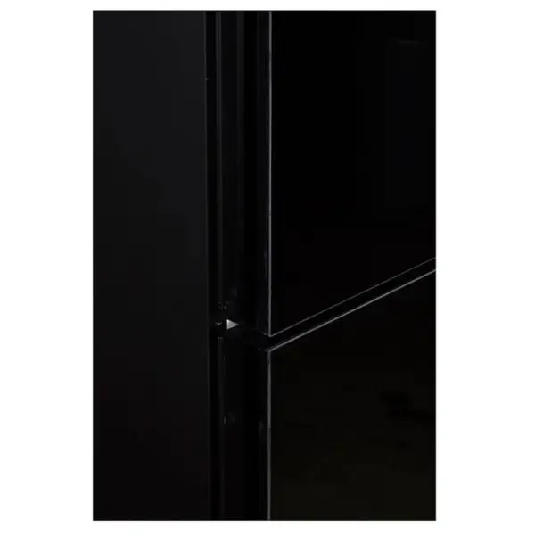 Ψυγειοκαταψύκτης AEG RCB736E4MK NoFrost 360lt Μαύρο