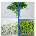 Bosch Ψυγειοκαταψύκτης 282lt Total NoFrost Υ176xΠ60xΒ66εκ. Inox KGN33NLEB